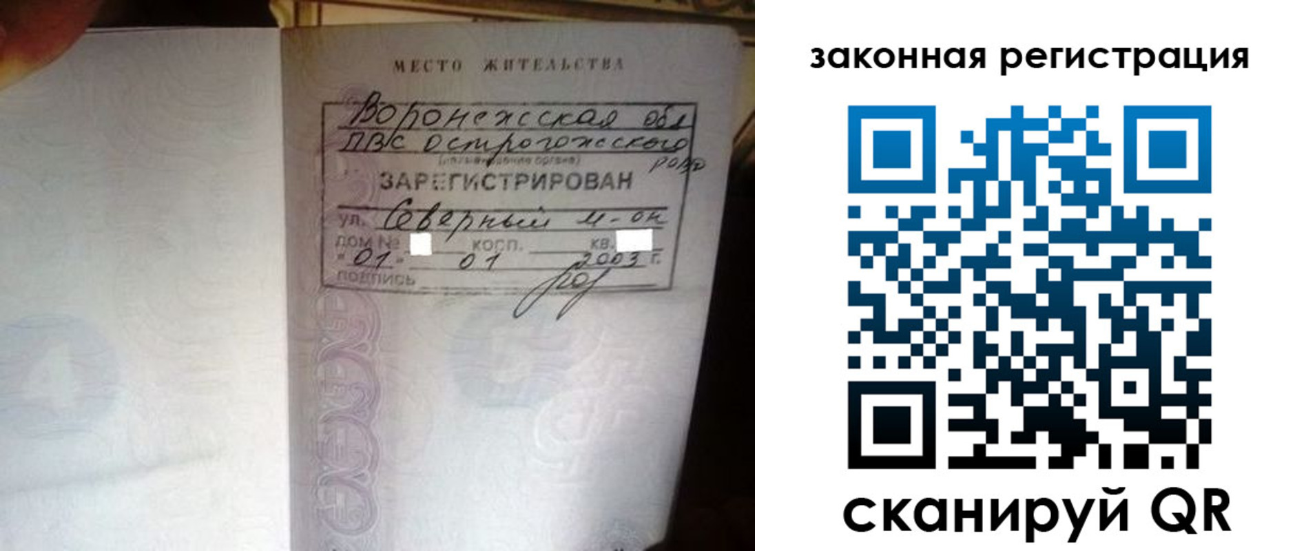 прописка поиск в Рошале